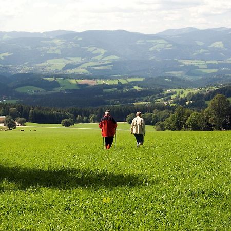Wildwiesenhof Miesenbach (Styria) Exterior foto