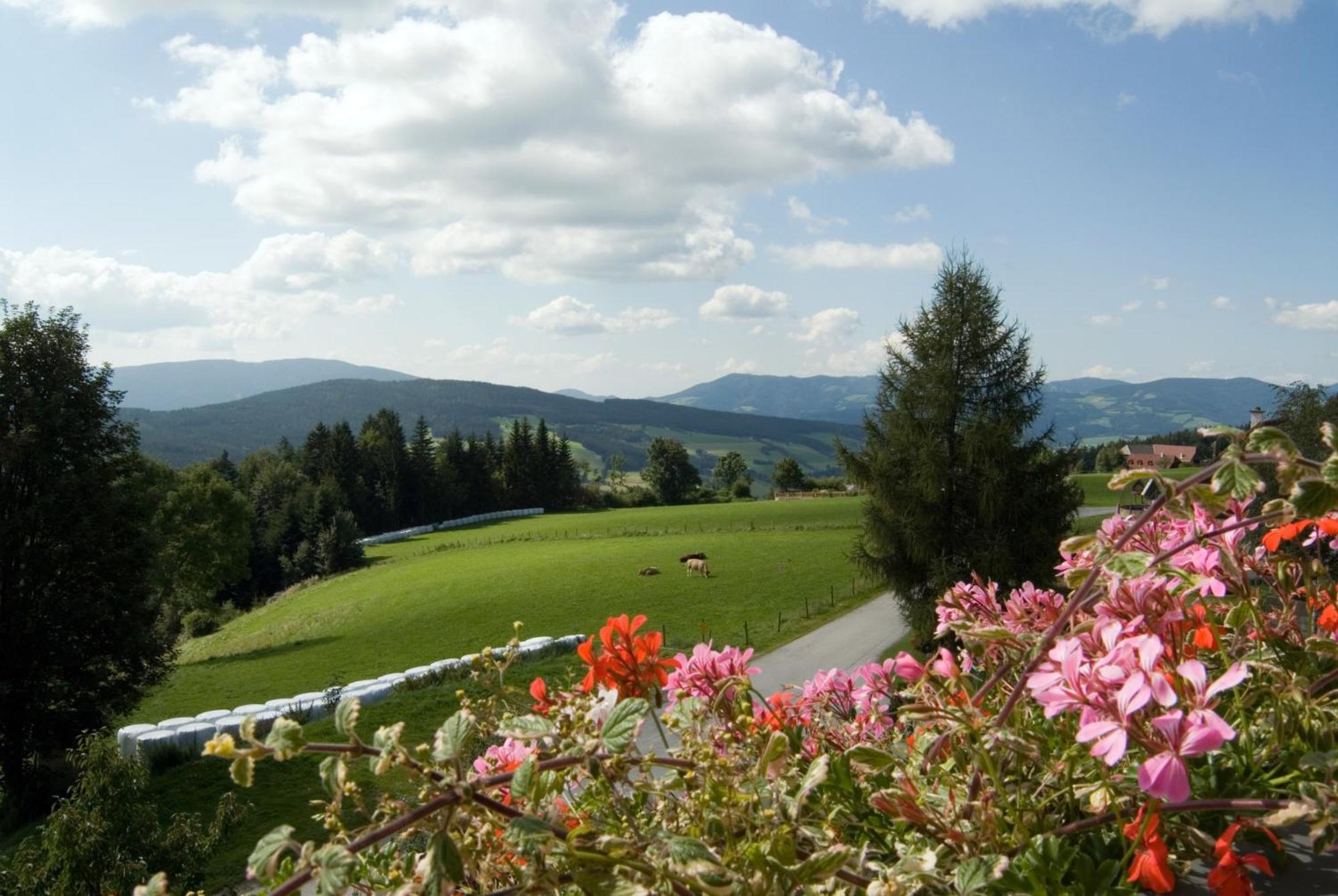 Wildwiesenhof Miesenbach (Styria) Exterior foto