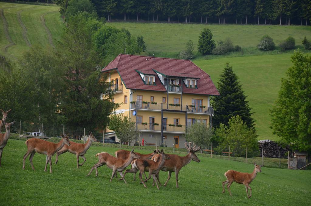 Wildwiesenhof Miesenbach (Styria) Exterior foto