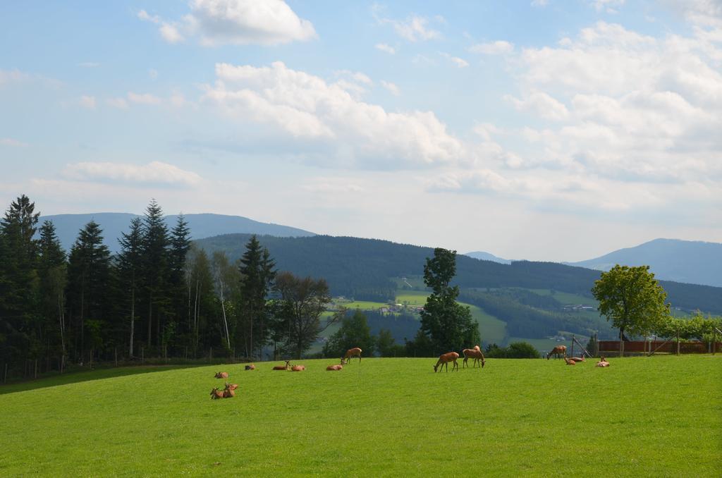 Wildwiesenhof Miesenbach (Styria) Exterior foto
