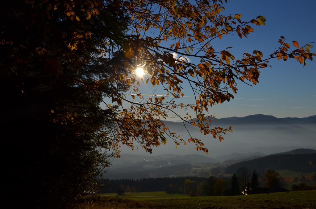 Wildwiesenhof Miesenbach (Styria) Exterior foto