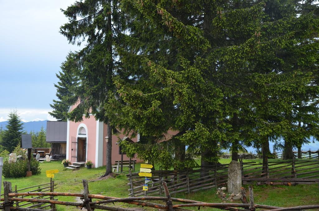 Wildwiesenhof Miesenbach (Styria) Exterior foto