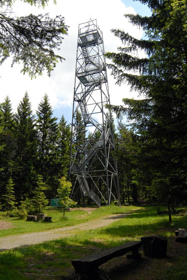 Wildwiesenhof Miesenbach (Styria) Exterior foto